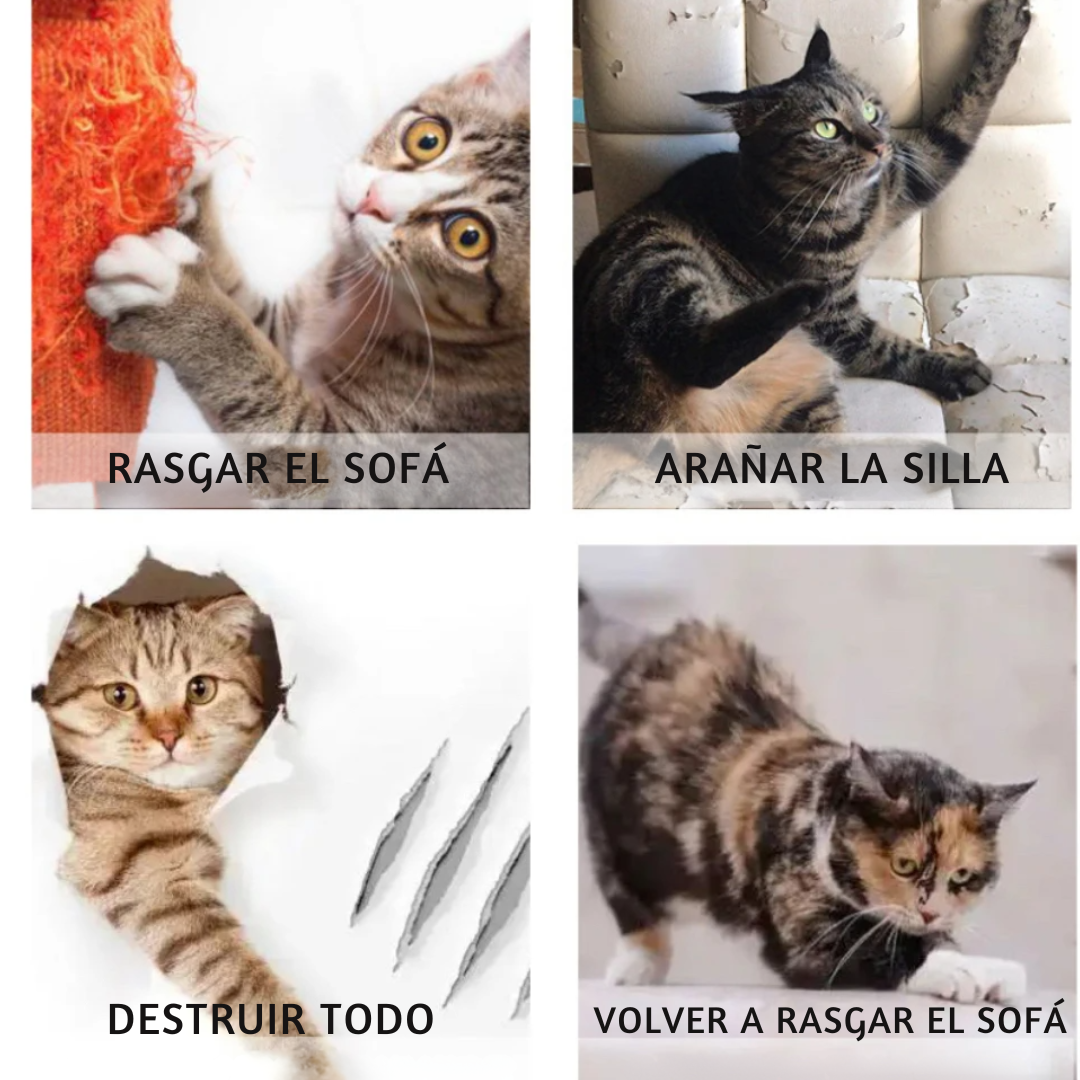 Protector de Arañazos para tus Gatos